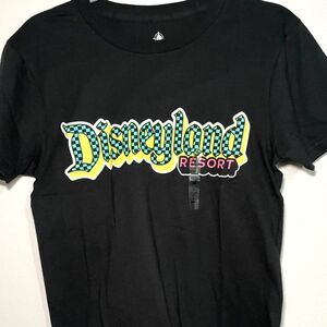 Checkered Disneyland Resort Skater T-Shirt Mens Black - Size Small